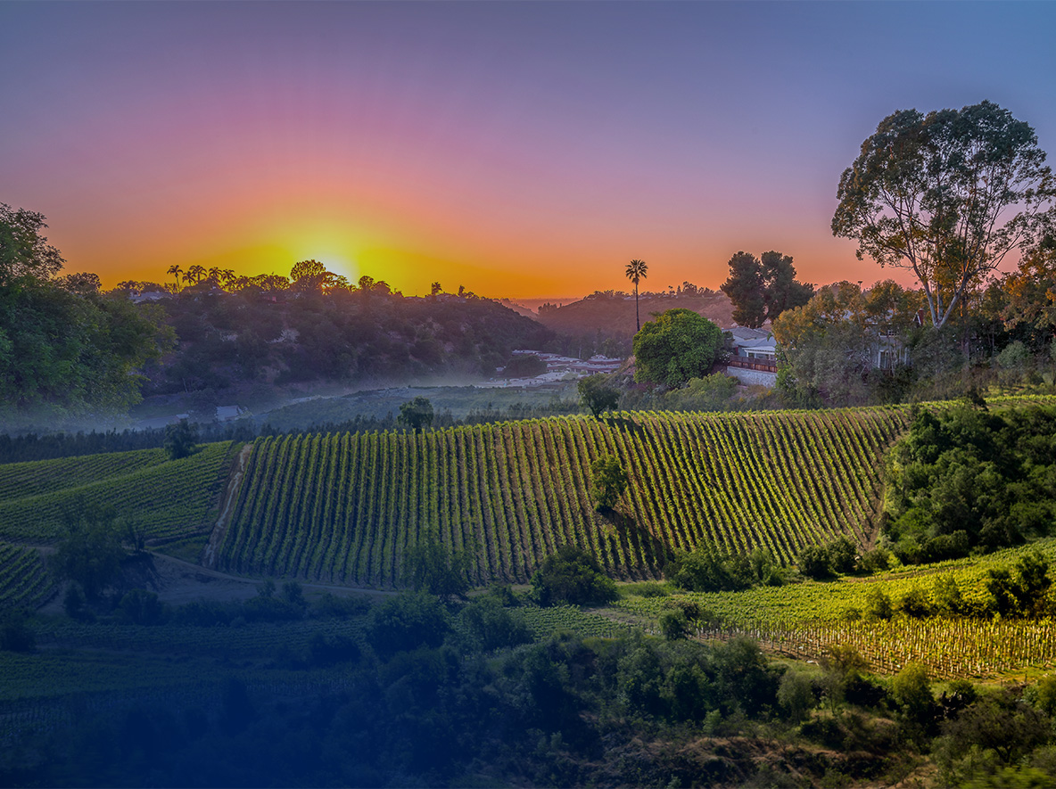 Napa